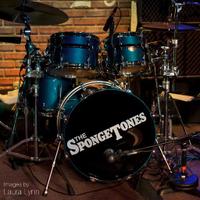 The Spongetones (@thespongetones) 's Twitter Profile
