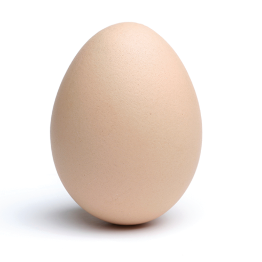 rachelz's profile picture. Professor of Psychology and a teensy bit artist. New Zealand. I will always support the underdog—especially if it's an actual dog. 
@rachelprozac.bsky.social