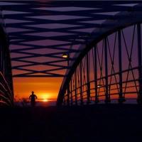 Tim L (@arbtim) 's Twitter Profile Photo