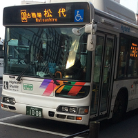ローカル路線バス乗り継ぎの旅が好き(@luiluiebisu) 's Twitter Profile Photo