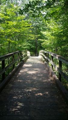 BanionShelby's profile picture. Deny me in front of your friends and I will deny you in front of my father.- Jesus