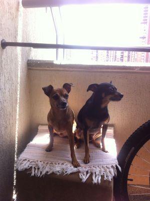 pateticoone's profile picture. 