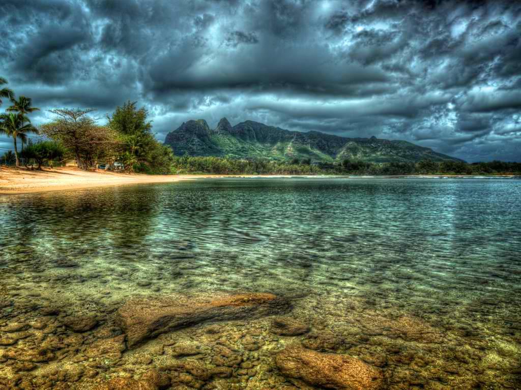 rhannealex's profile picture. simple***happy***crazy***kind