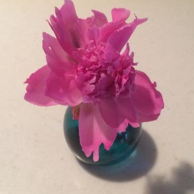 charlieo553's profile picture. 