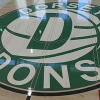 DDons (@coachdn2) 's Twitter Profile