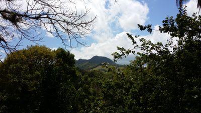 PVallejo49's profile picture. 