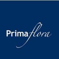 Primaflora (@primaflorade) 's Twitter Profile