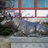 ueda_m's profile image