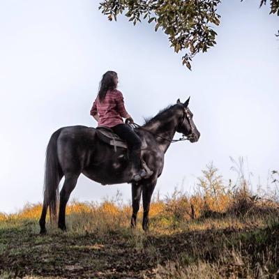 Painted Bar Stables is located in the NY Finger Lakes offering year-round guided trail rides, lessons, leasing, boarding & educational opportunities.