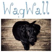 Wagwall(@WagwallDogs) 's Twitter Profile Photo