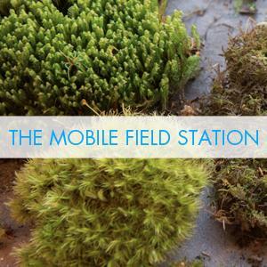 MLAB_MFS's profile picture. 