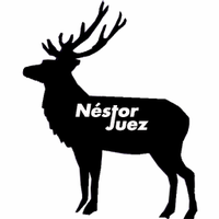 Néstor Juez(@Amedda) 's Twitter Profile Photo