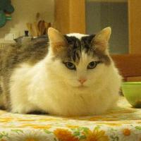 Helen Vergara (@helmvergara1) 's Twitter Profile Photo