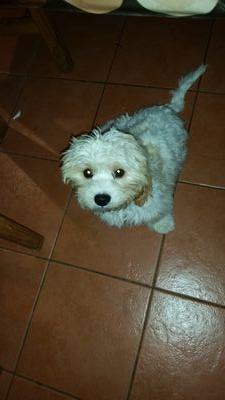 4f751fdd39524e3's profile picture. 