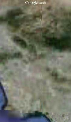 felipeacosta541's profile picture. 