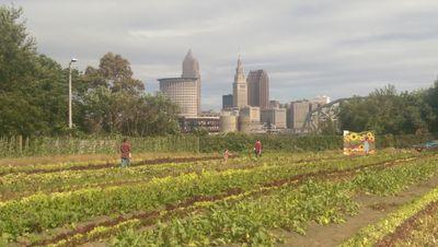 6 acre urban farm in Cleveland's Ohio City neighborhood; powered by @refugeeresponse.