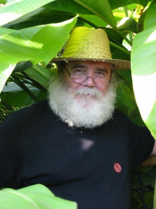 Kyudoka's profile picture. Garden Designer, painter, photographer and Allotmenteer . Trustee and Arts and Crafts Volunteer at Sydenham Garden. Working with several community gardens.