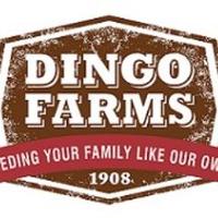Dingo Farms (@dingofarms) 's Twitter Profile