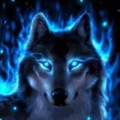 GameFreaks1011's profile picture. 