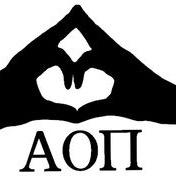 Connecting sisters across the nation. Email me your stories or #AOProblems at aoiigirlstwitter@gmail.com