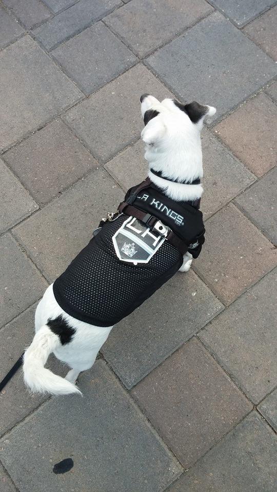 Hockey Chick, L.A. Kings & Dodgers Fan