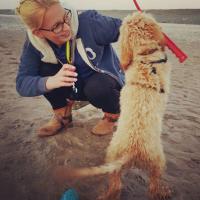 Sophie Bosworth (@sophiebosworth) 's Twitter Profile Photo Sophie Bosworth (@sophiebosworth) 's Twitter Profile Photo