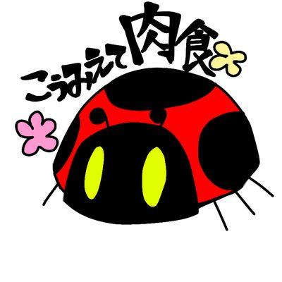 てんとうむしさんのプロフィール画像