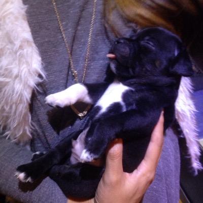 sshleee's profile picture. all I need is a burrito