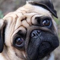 @ericapricot.bsky.social (@ericapricot) 's Twitter Profile Photo @ericapricot.bsky.social (@ericapricot) 's Twitter Profile Photo