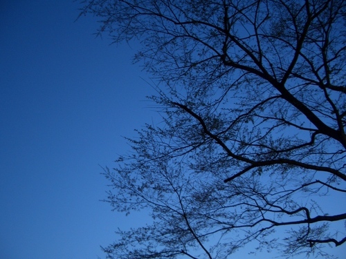 Awai09's profile picture. サイクルロードレース、万年筆、インク沼周辺の住人です。成人済。