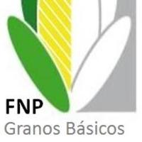 FNP_Granos Básicos (@fnpgb_rb) 's Twitter Profile Photo FNP_Granos Básicos (@fnpgb_rb) 's Twitter Profile Photo