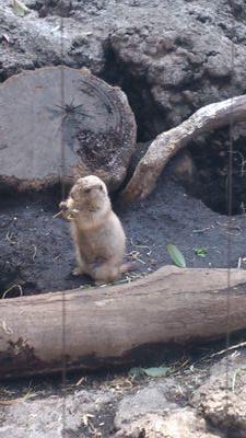 masatoshi591993's profile picture. 