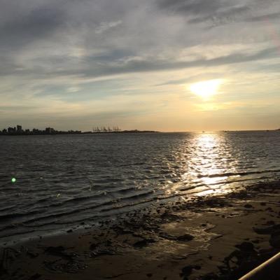 mmintamaa's profile picture. 