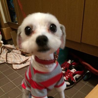 fbJslcMtVX9RWZw's profile picture. 