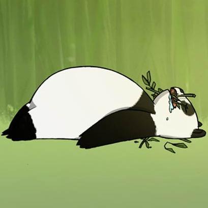 pandamcmurphy's profile picture. 