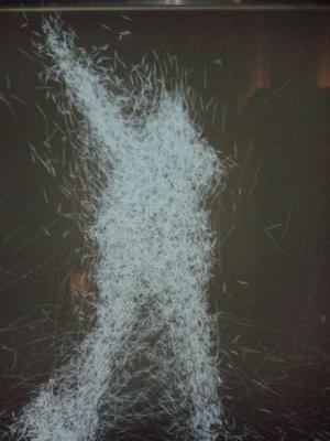 EdenElie's profile picture. X