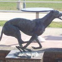 Hove Greyhound Videos (@hovevideos) 's Twitter Profile Photo Hove Greyhound Videos (@hovevideos) 's Twitter Profile Photo