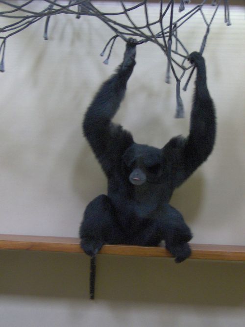 enricosalad's profile picture. #764358