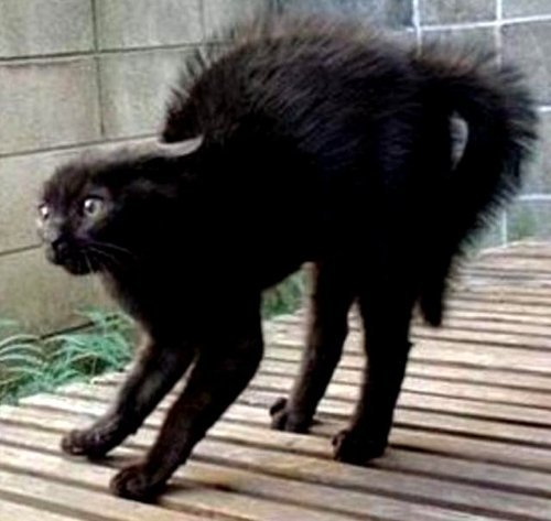 Primeti's profile picture. Официальный Твиттер русского календаря -12 месяцев-. Народные приметы на каждый день