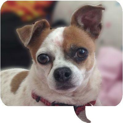 Scrappy Mosier Profile