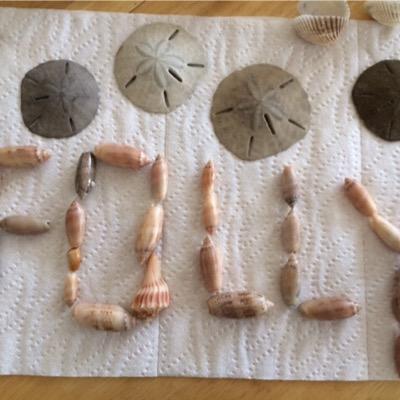 lovethedump's profile picture. 