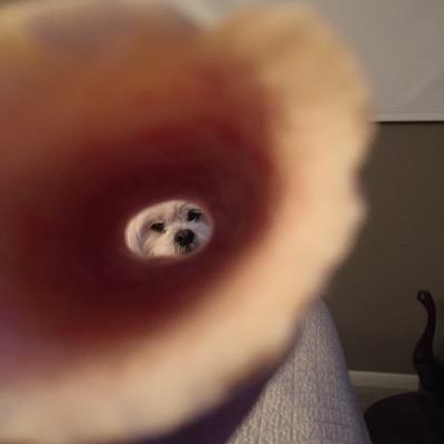 brady_ts's profile picture. 