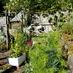 Nant y Bedd Garden (@nantybeddgarden) Twitter profile photo Nant y Bedd Garden (@nantybeddgarden) Twitter profile photo