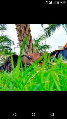 PremKarthi7's profile picture. 