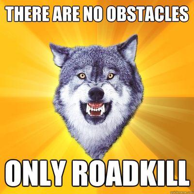 Posting your daily dose of top-grade roadkill
parody account  
please dm your pics 
please dm total roadkills to date