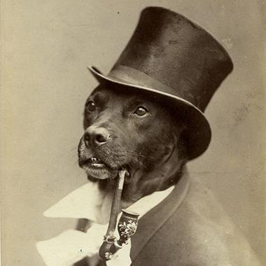 ScratchyEd's profile picture. 