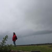 Jose Megall (@pitijim) 's Twitter Profile