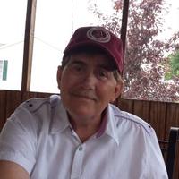 Steve Michaels (@stevemichaels14) 's Twitter Profile