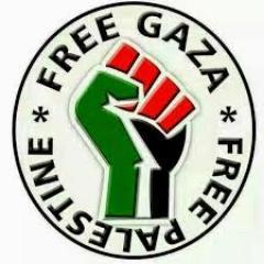 quinn4equality's profile picture. 🇮🇪🇵🇸🇨🇺🇻🇪🇨🇳☘ Ethnically cleansed from the occupied 6 counties of Ireland. A life long Socialist, Irish Republican and activist for Palestine.