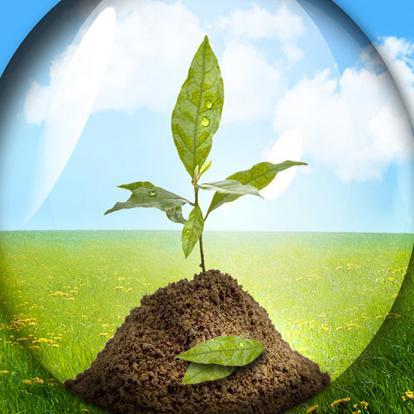 EnvironmentalIssues provides the latest news about the environment, including GreenLiving,Alt Energy,GreenCharity&EcoFriendly ind & manufacturing practices.